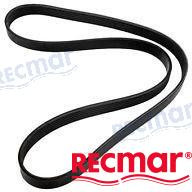 COMPRESSOR BELT