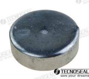 DISC IN ZINC DIA 70 mm