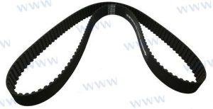 DISTRIBUTION BELT