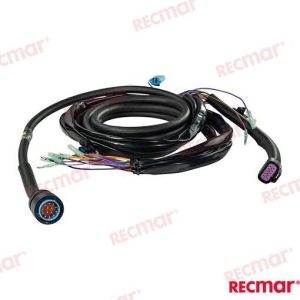 EXTENSION  15FT