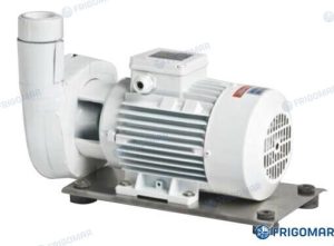FANCOIL CIRCUIT PUMP C(M) 22E (0,55 kW)
