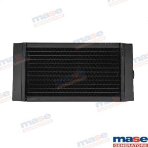 MAS65317