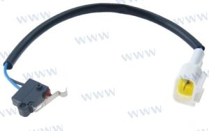 MICROSWITCH