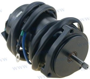 MOTOR ASSY