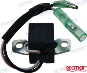 PULSER COIL ASSY