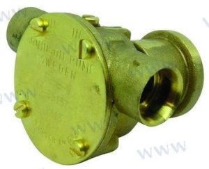 RAW WATER PUMP
