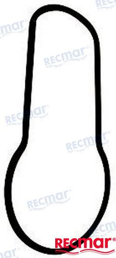 RING GEAR CASE SEAL