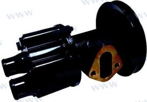 SEA WATER PUMP