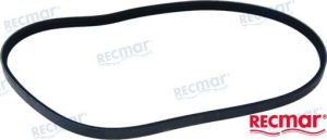 SERPENTINE BELT