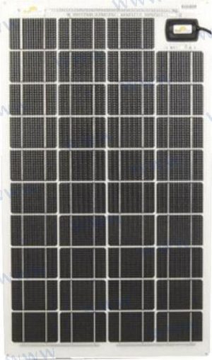 SUN60234266