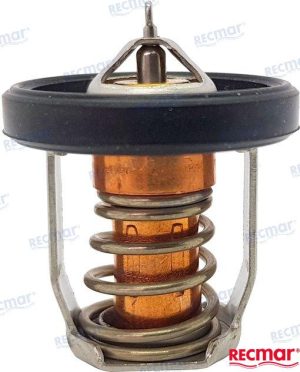 THERMOSTAT 60ºC