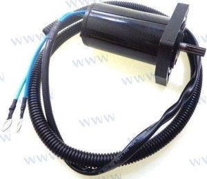 TRIM MOTOR ASSY