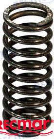 VALVE SPRING
