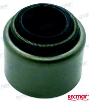 VALVE STEAM SEAL